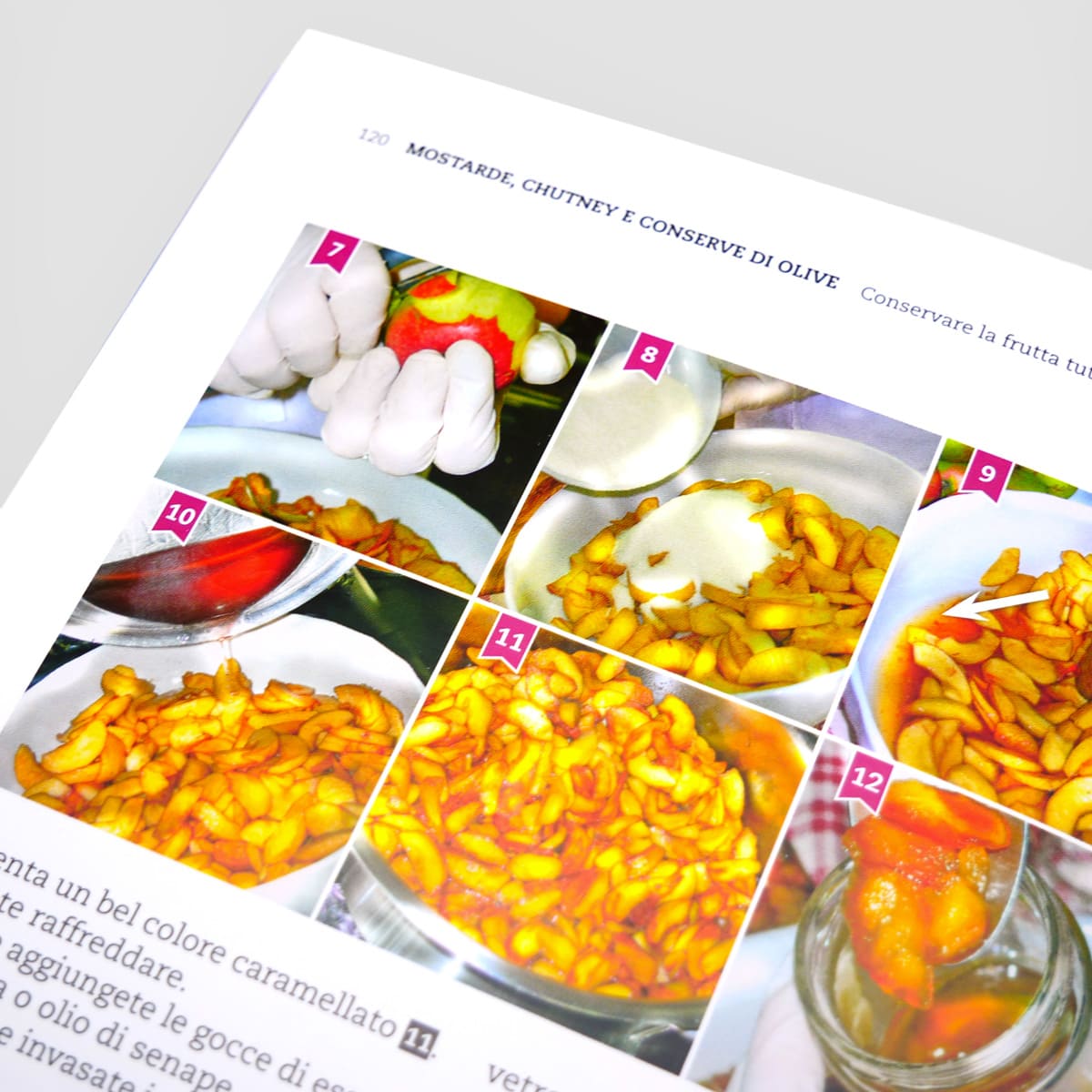 MAD Cucina Conservare la frutta tutto l’anno libro 100 ricette