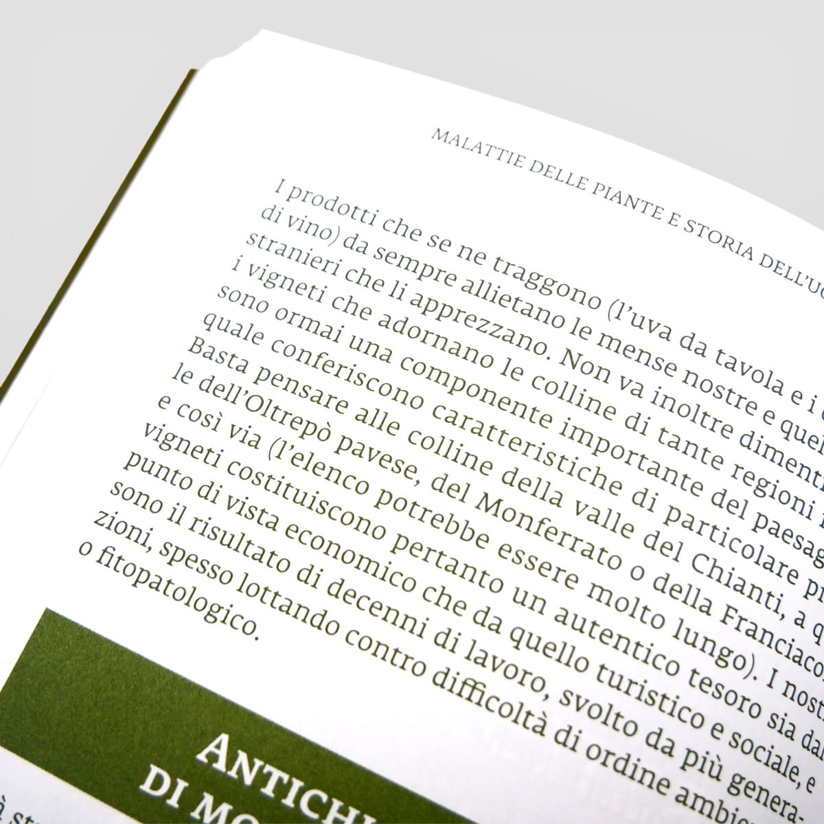 Mad Difesa Come le malattie delle piante libro divulgazione