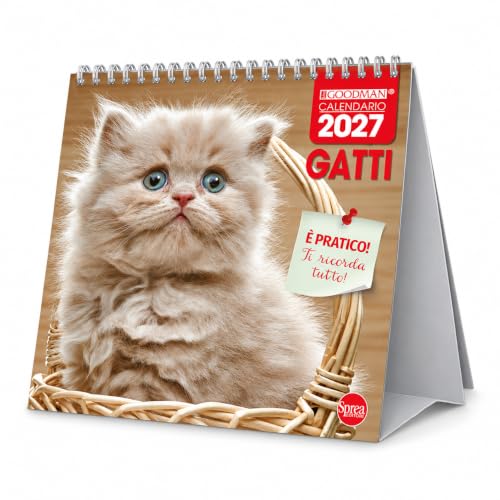 Sprea Gatti 2027 calendario da tavolo fotografico 16,5x15