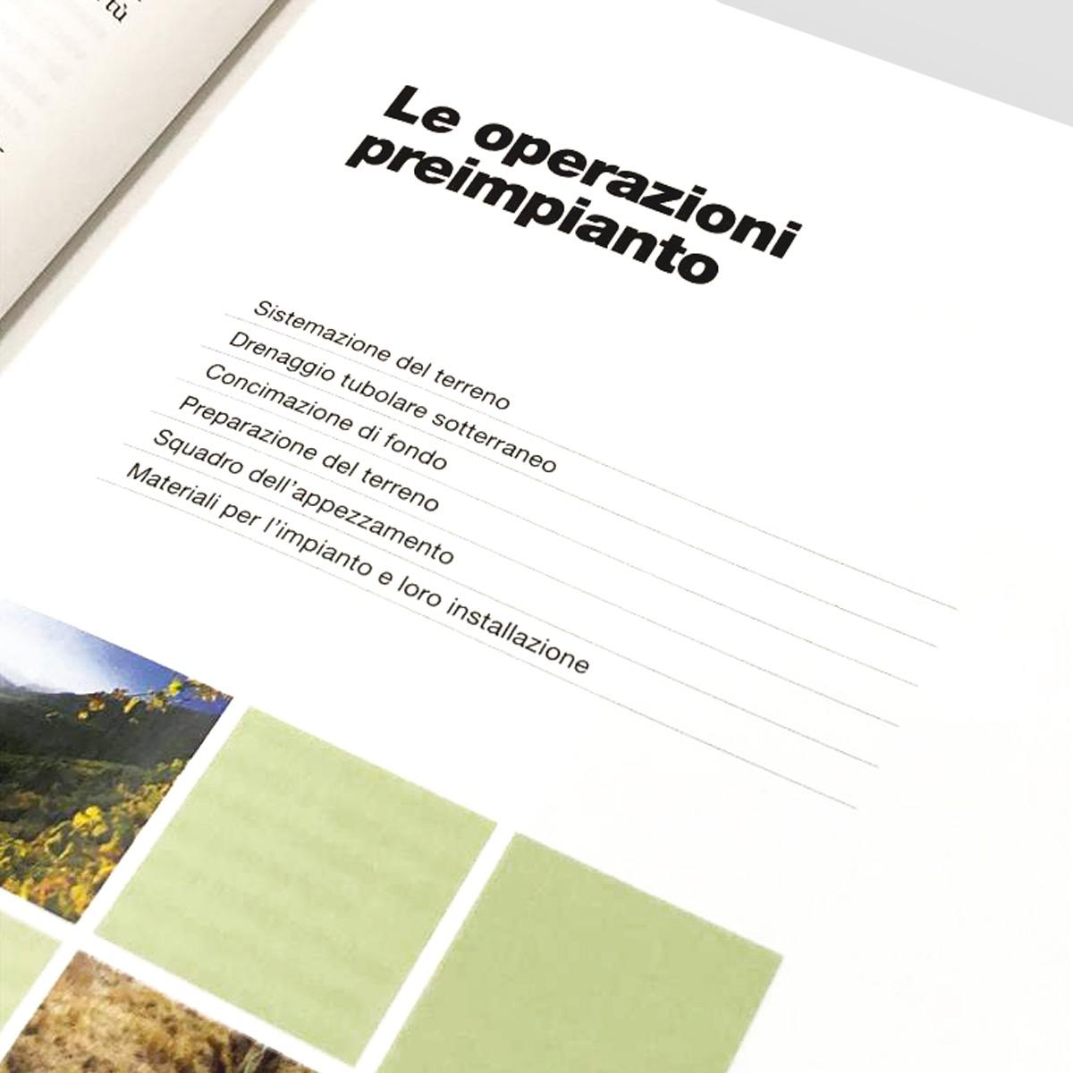 MAD Viticoltura Vite Impianto del vigneto manuale viticoltori