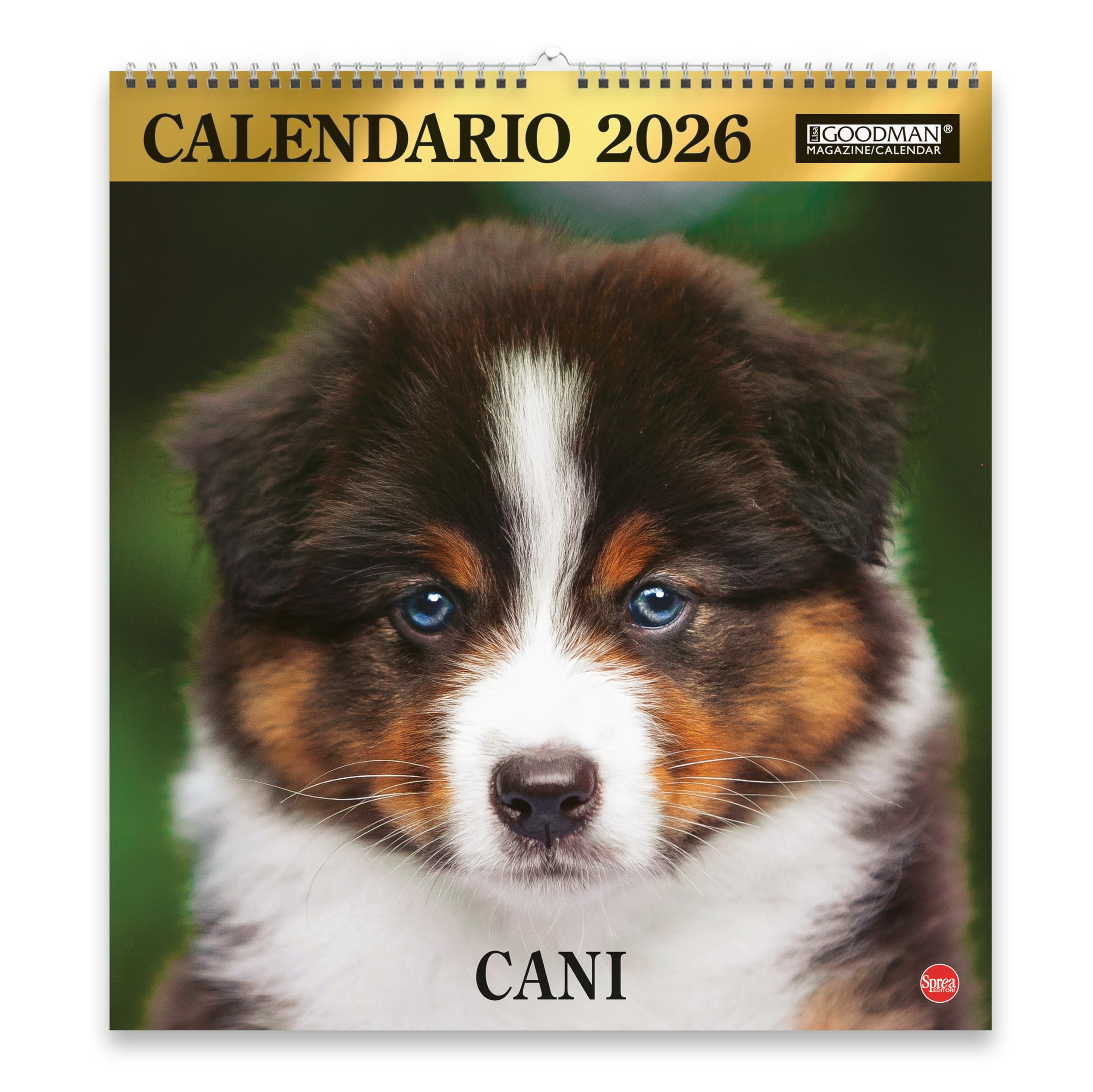 Sprea Cani Magnum 2026 calendario da parete foto razze