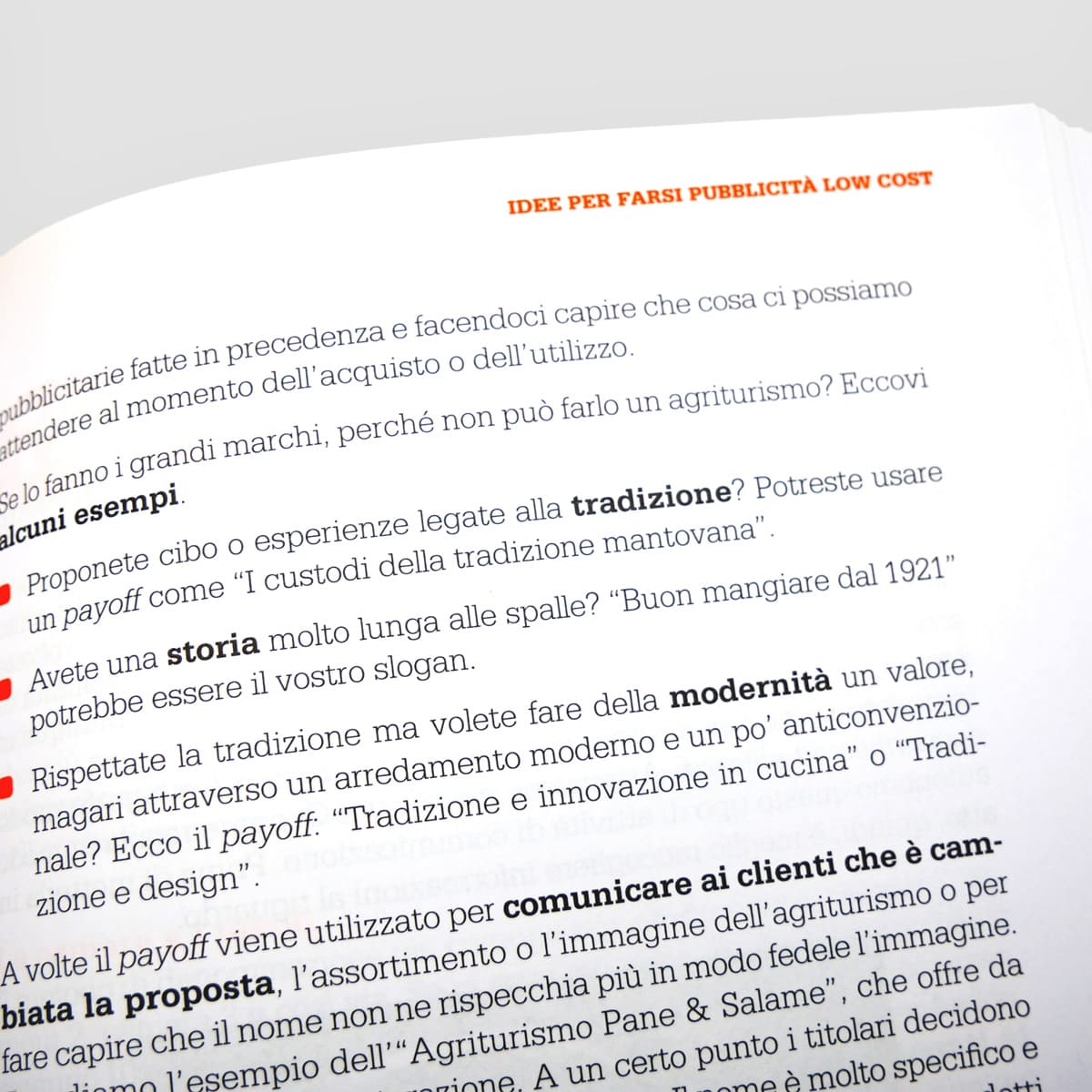 Mad Multifunzionalità Agriturismo marketing a costo zero libro