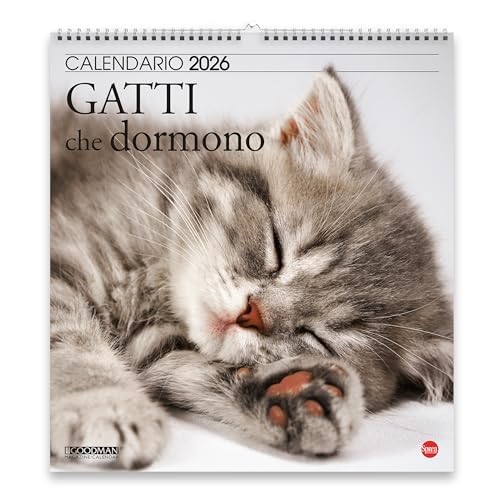 Sprea Gatti che Dormono Magnum 2026 calendario parete