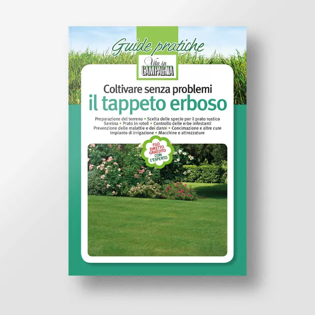 Mad Giardinaggio Coltivare senza problemi il tappeto erboso guida