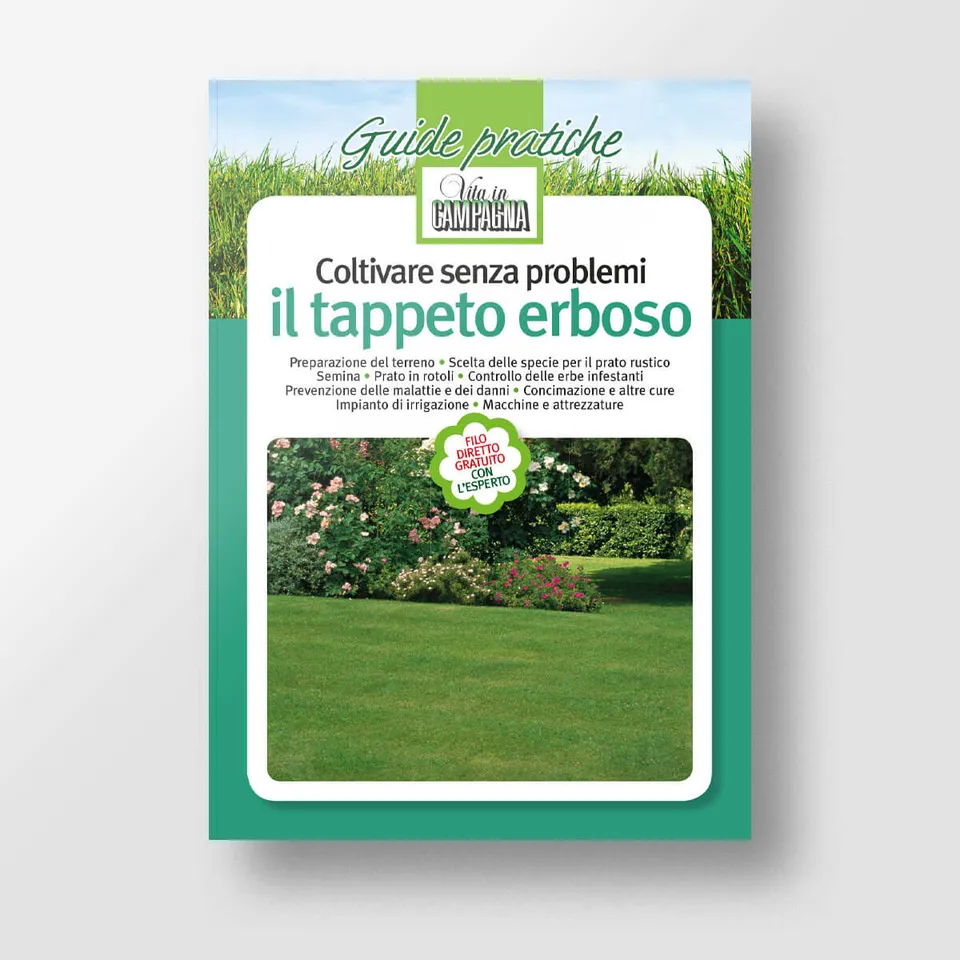 Mad Giardinaggio Coltivare senza problemi il tappeto erboso guida