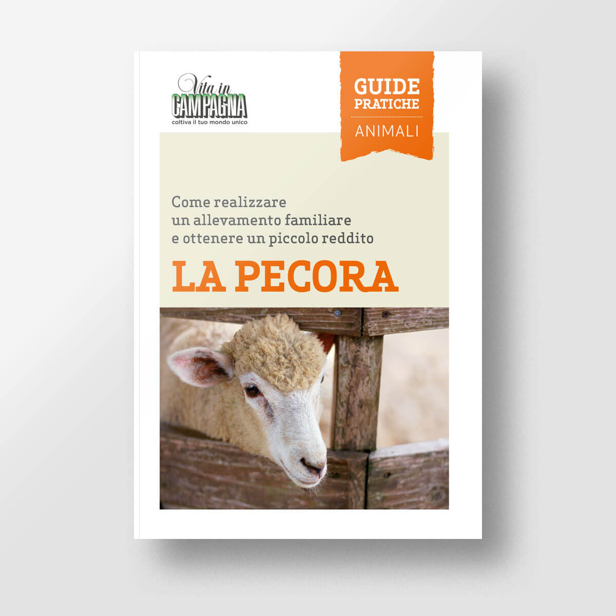 Mad Allevamenti La pecora libro allevamento pecore