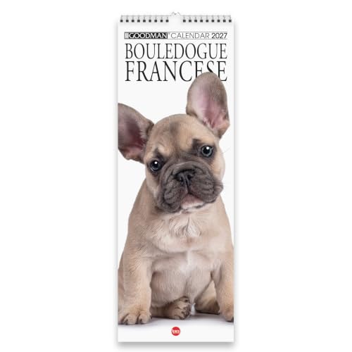 Sprea Bouledogue Francese Long 2027 calendario da parete 14,6x40,8