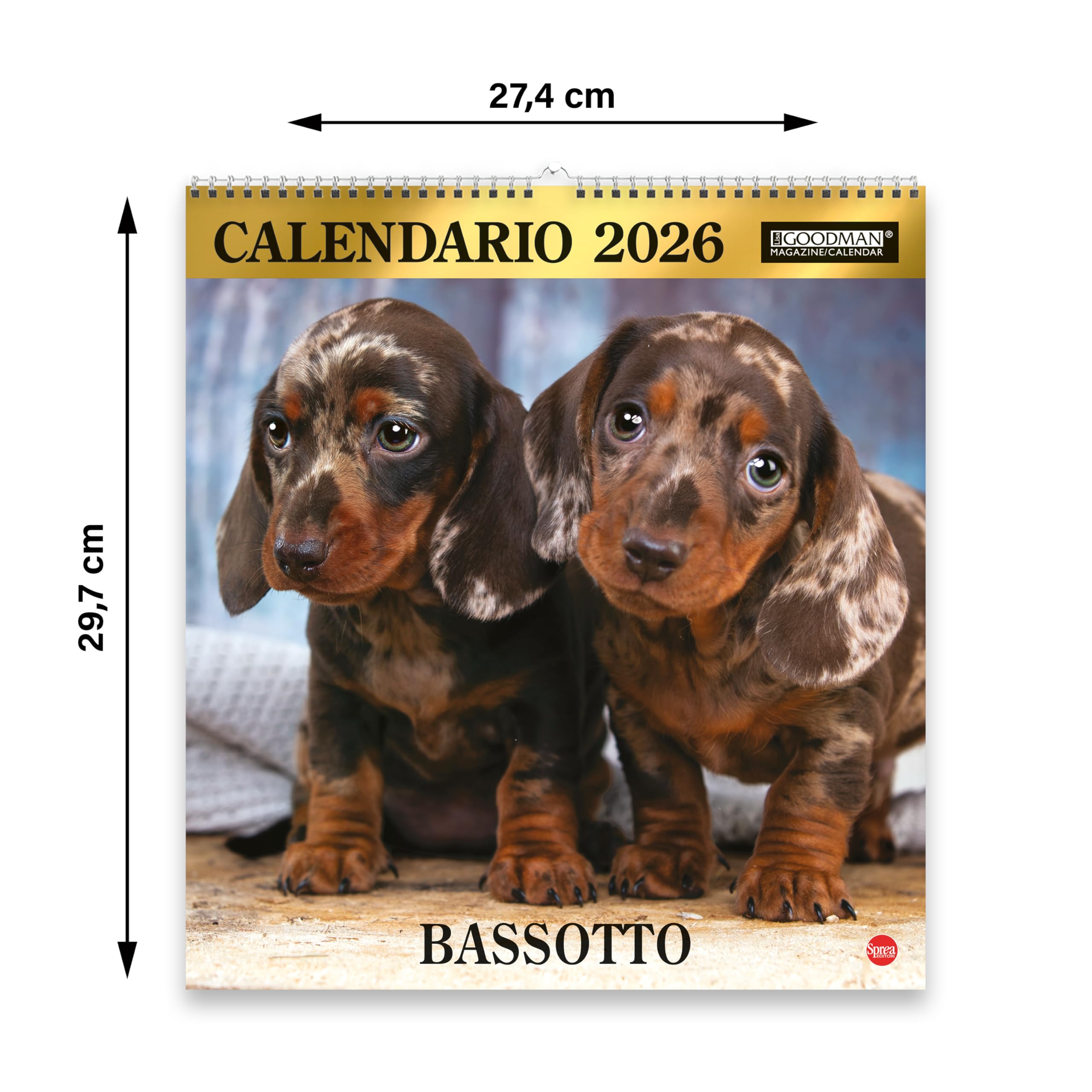 Sprea Bassotti Magnum 2026 calendario da parete consigli