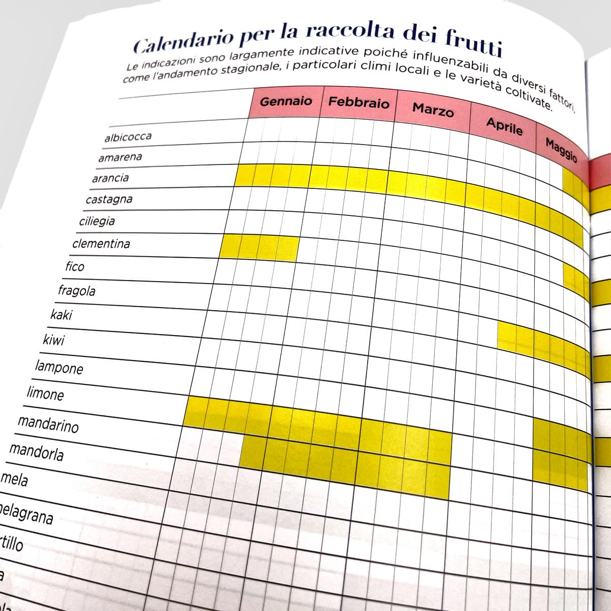 MAD Cucina Le mie conserve Ortaggi e frutta libro 96 etichette