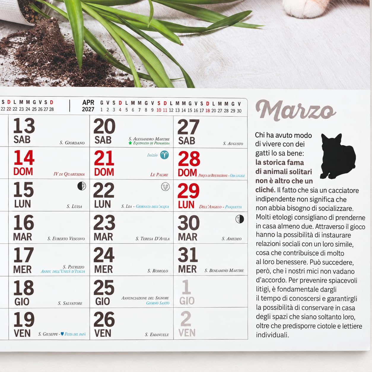 Sprea Gatti Marachelle 2027 calendario da parete 28x30