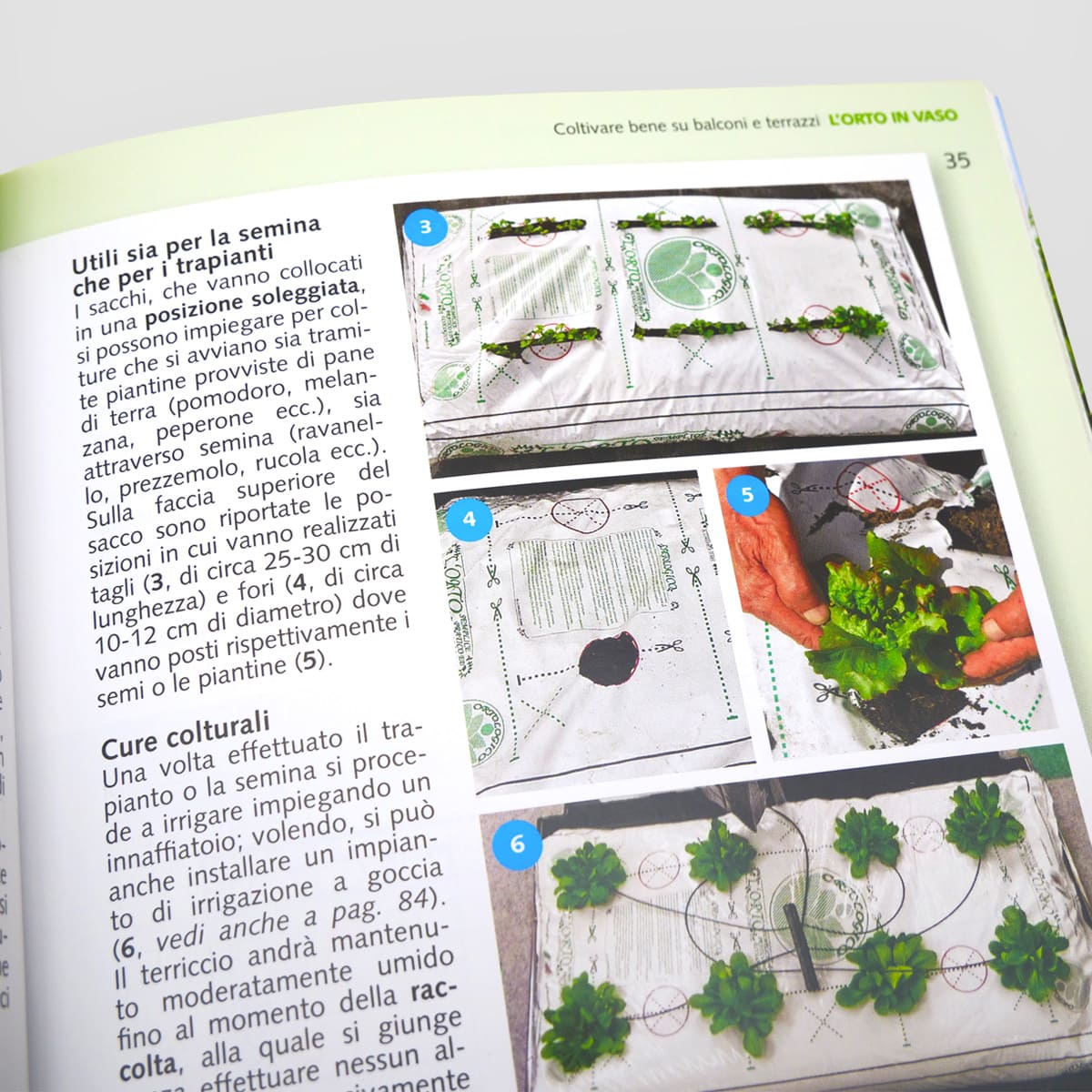 Mad Giardinaggio Coltivare bene su balconi e terrazzi guida vaso