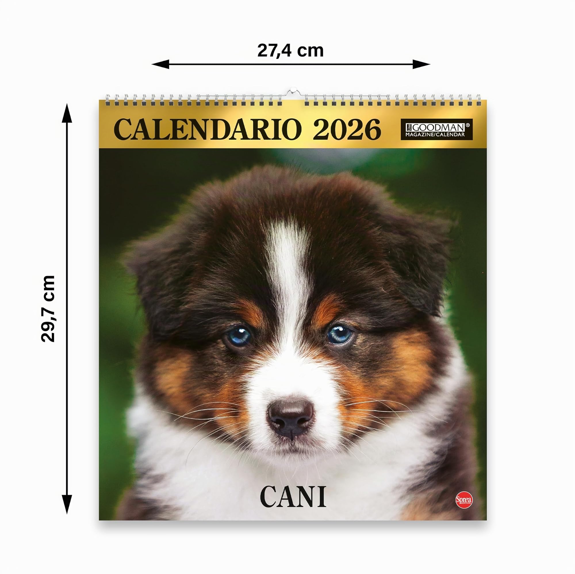 Sprea Cani Magnum 2026 calendario da parete foto razze