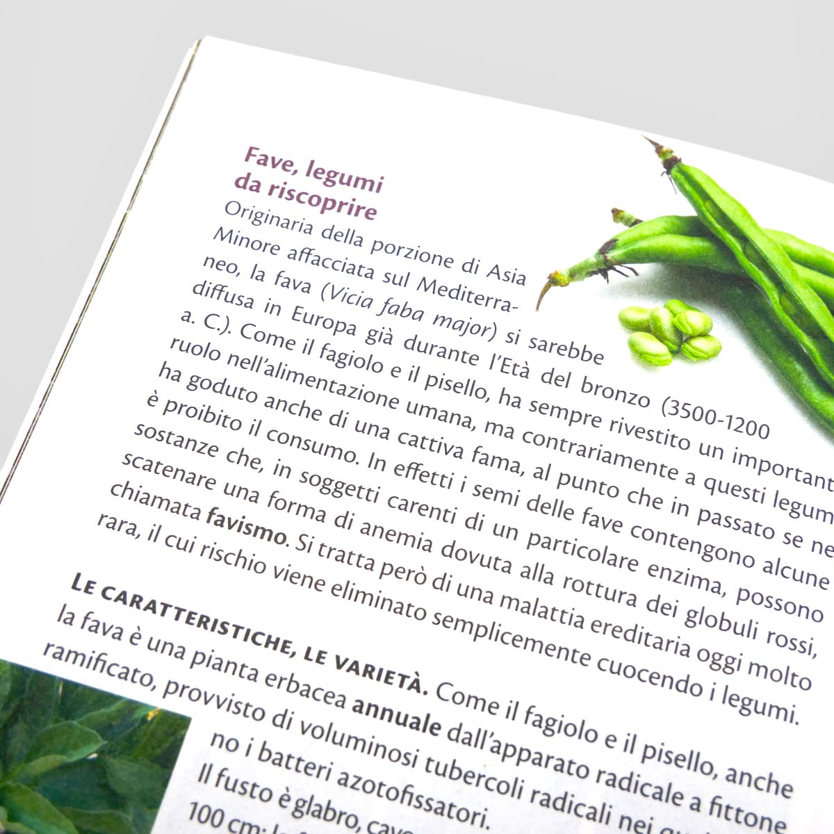 MAD Cucina Coltiva&Cucina Fagioli e altri legumi libro numero singolo