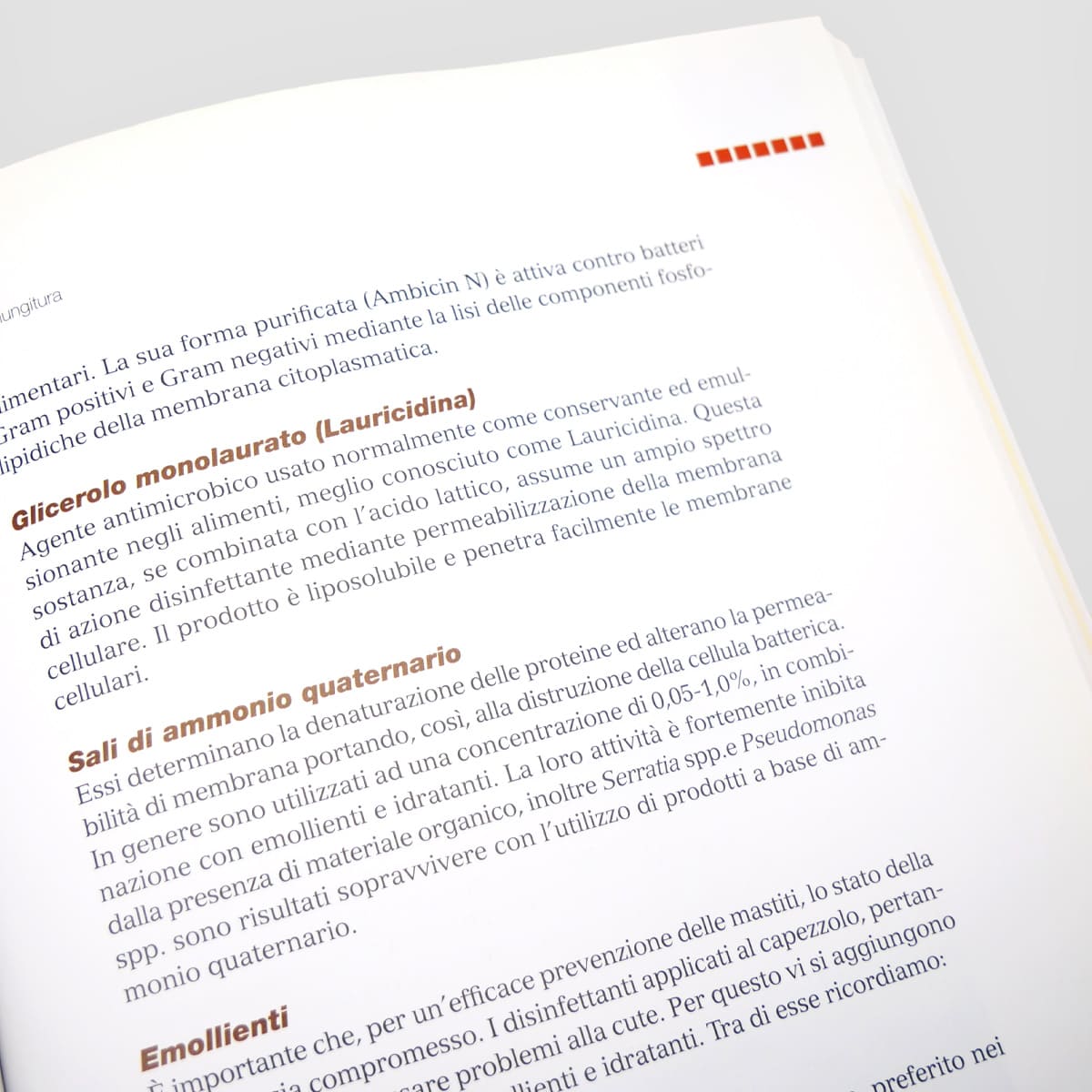 Mad Allevamenti Bovine da latte Mastite manuale stalla