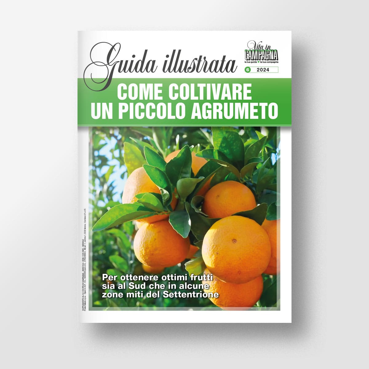 MAD Guide Illustrate Come coltivare piccolo agrumeto guida