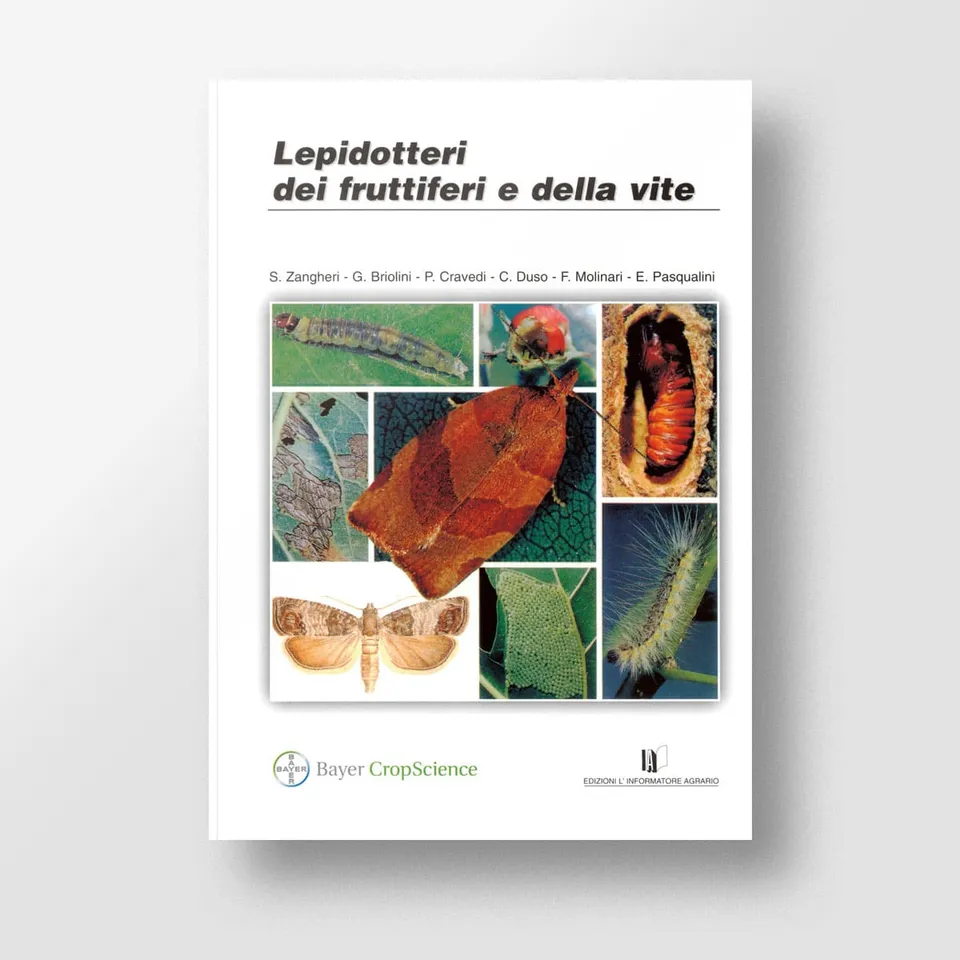 Mad Difesa Lepidotteri dei fruttiferi e della vite libro 540 foto