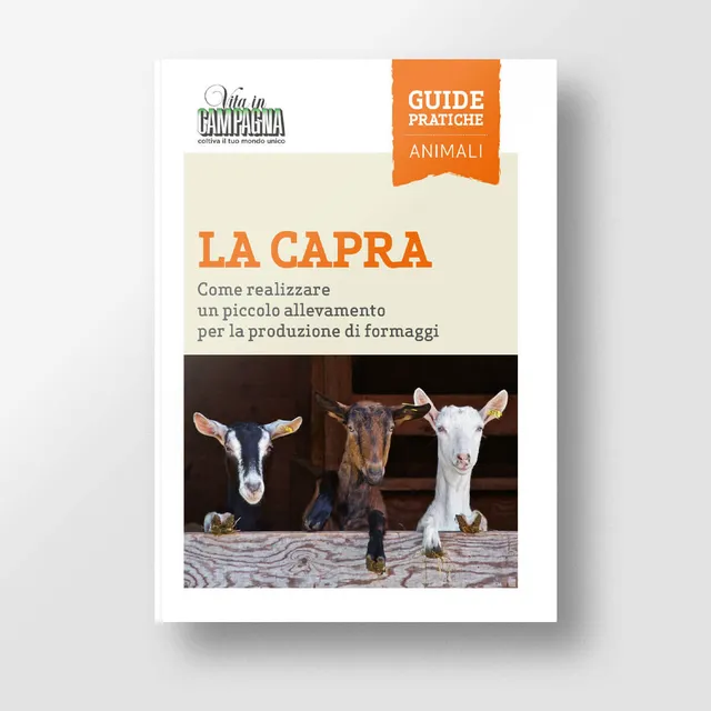 Mad Allevamenti La capra libro allevamento capre