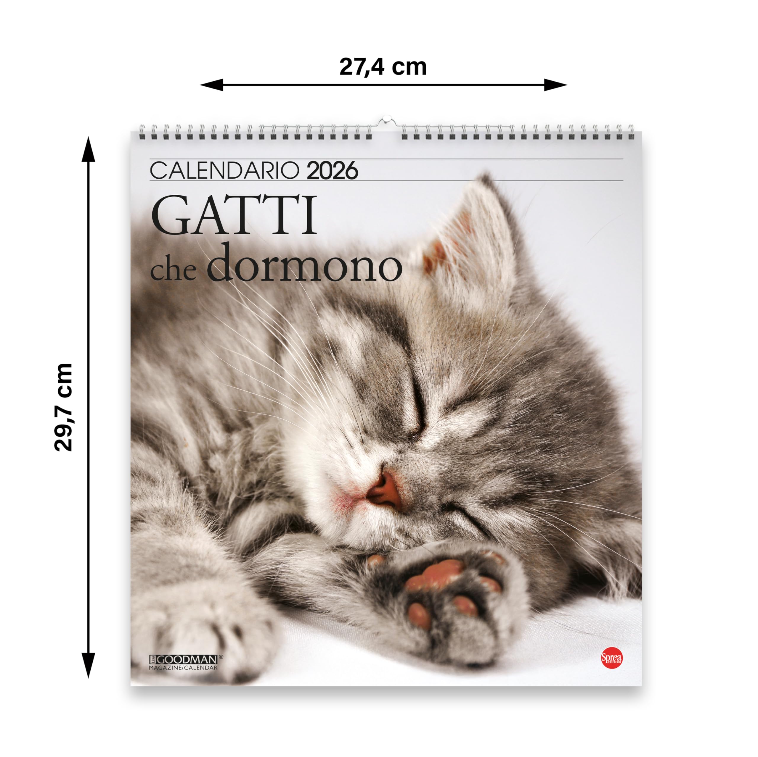 Sprea Gatti che Dormono Magnum 2026 calendario parete