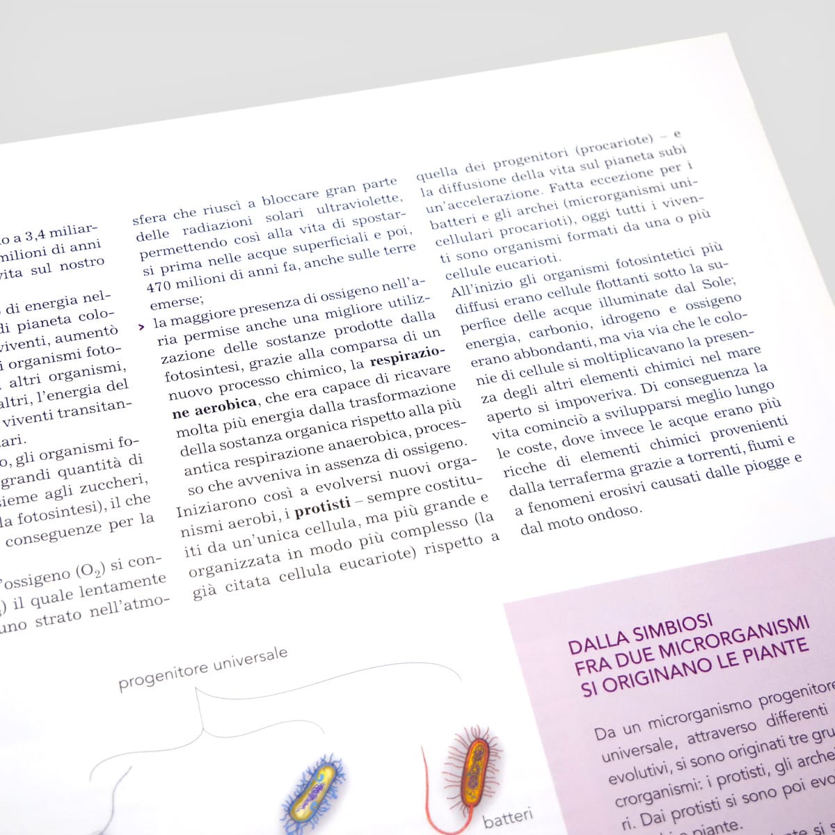 MAD Giardinaggio Conoscere le piante libro coltivazione sostenibile