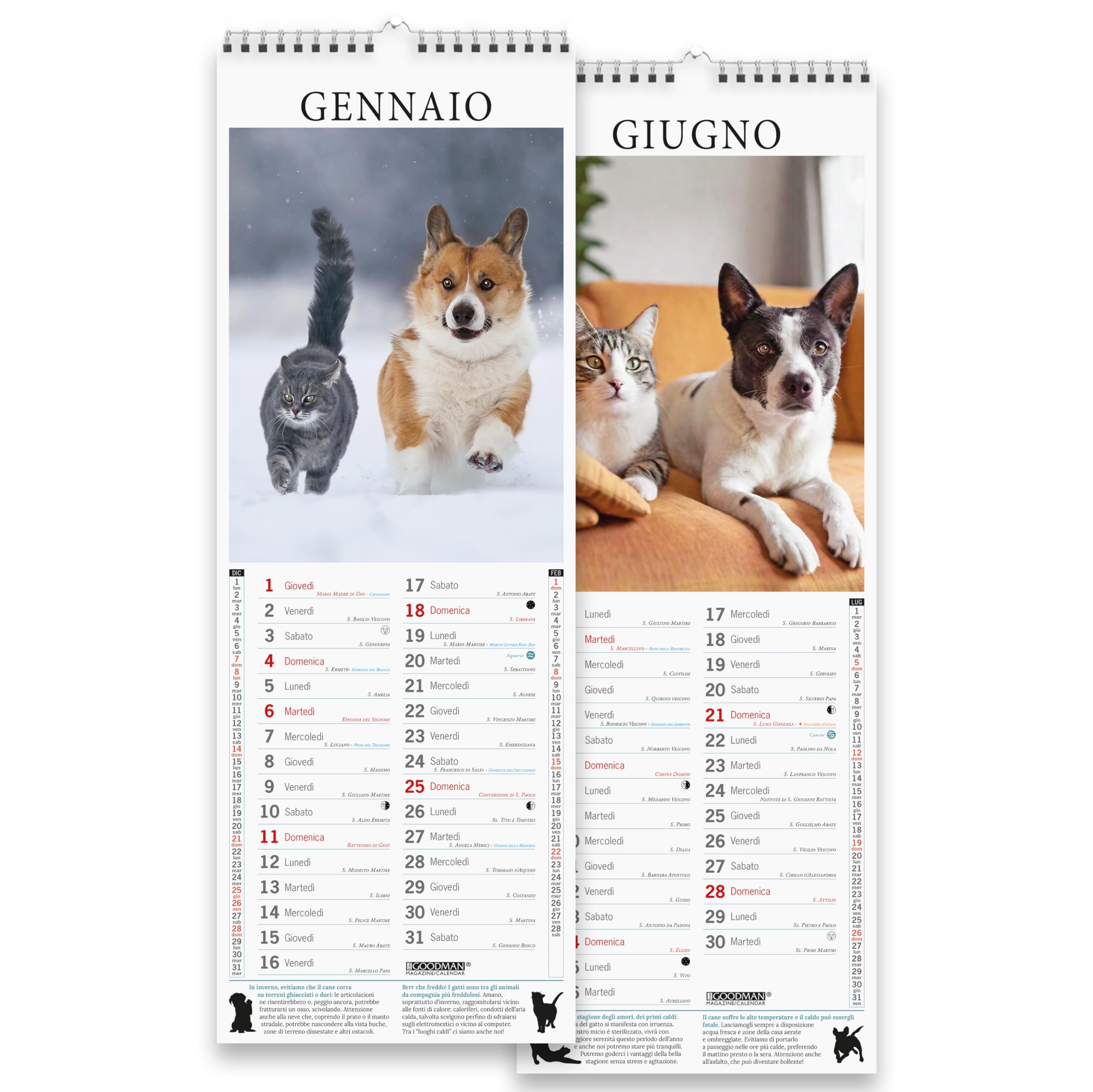 Sprea Cani e Gatti Amici 2026 calendario da parete