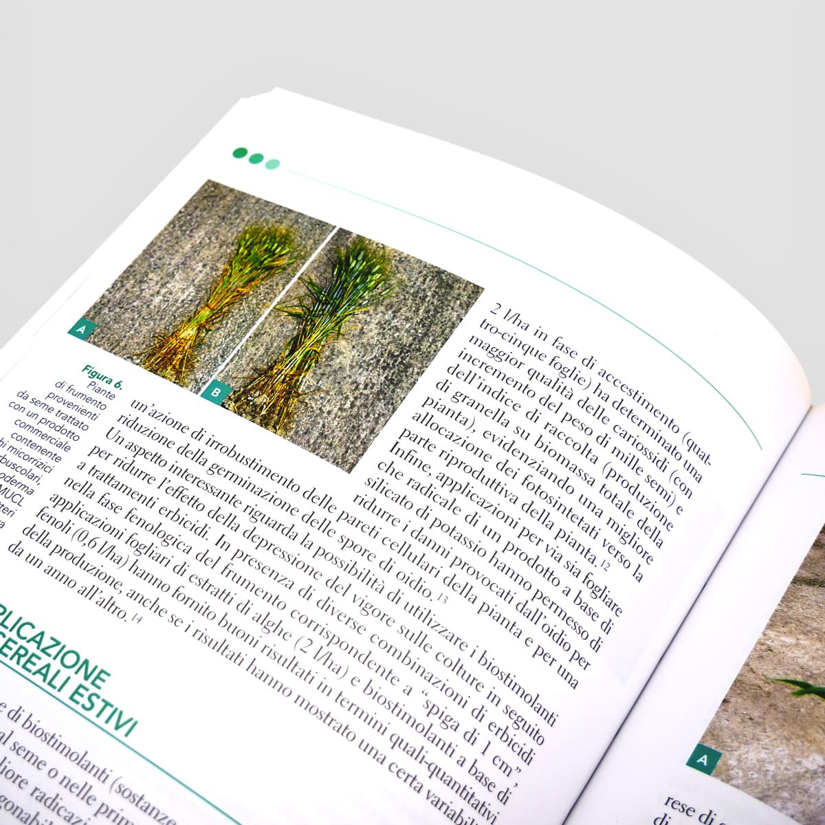 Mad Orticoltura Biostimolanti per agricoltura sostenibile manuale
