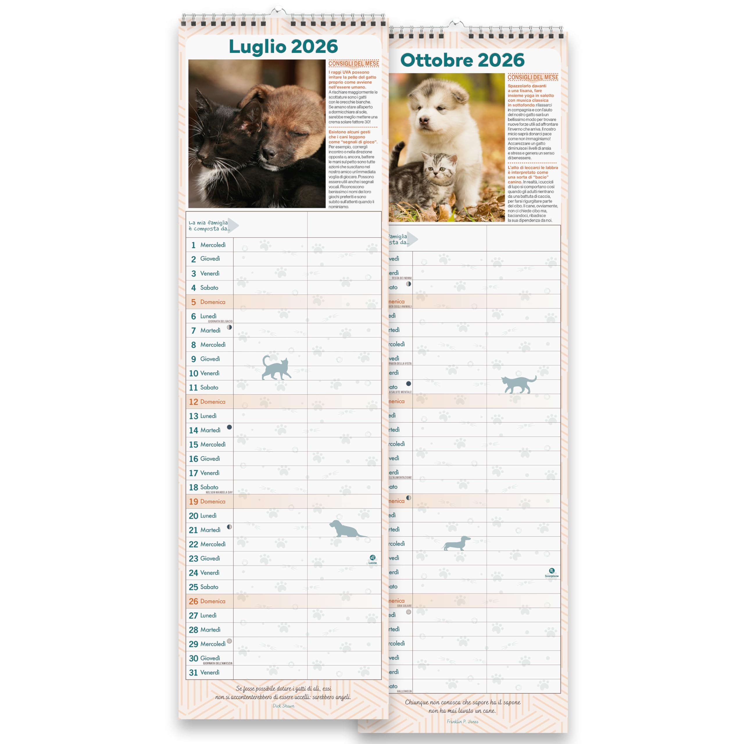 Sprea Cani e Gatti 2026 calendario agenda da muro