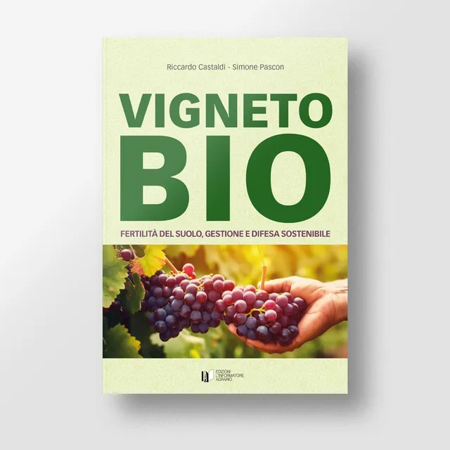 Mad Viticoltura Vigneto bio manuale viticoltura biologica