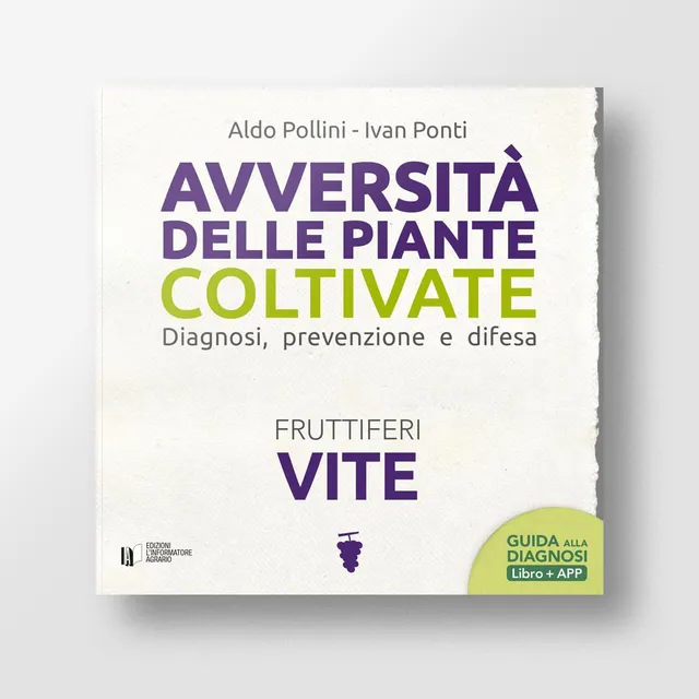 MAD Difesa Avversità vite manuale con app EdIA