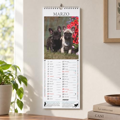 Sprea Bouledogue Francese Long 2027 calendario da parete 14,6x40,8