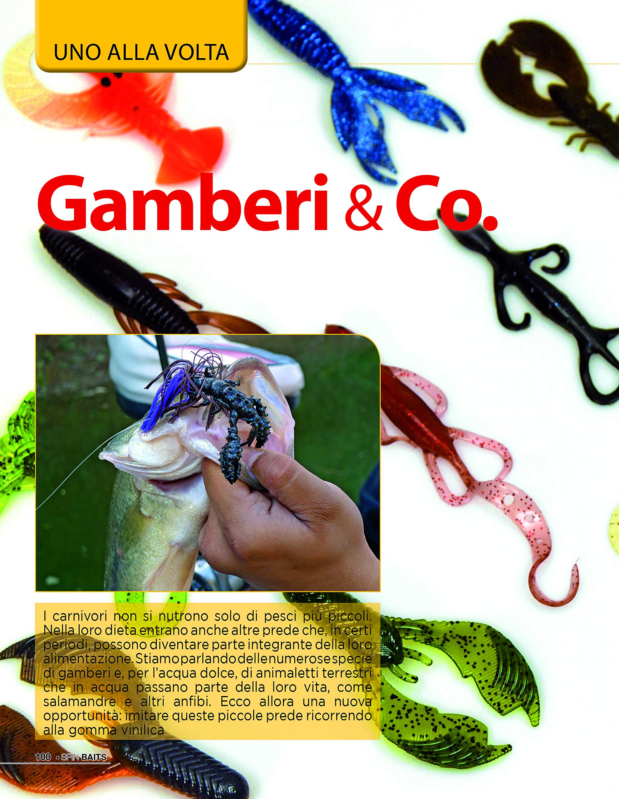 Sprea Speciali SpinBaits rivista numero singolo pesca
