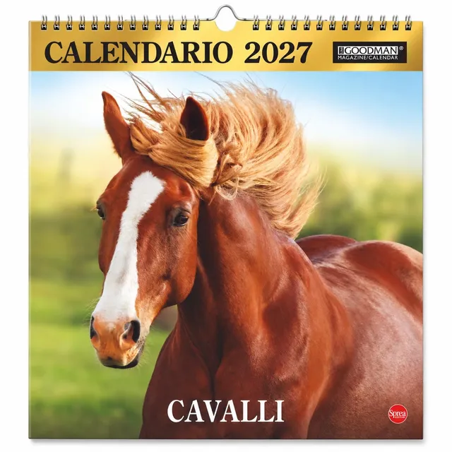Sprea Cavalli Magnum 2027 calendario da parete 12 mesi