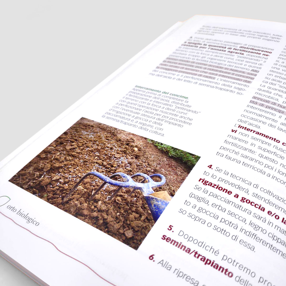 Mad Orticoltura Orto Biologico Tecniche di coltivazione libro