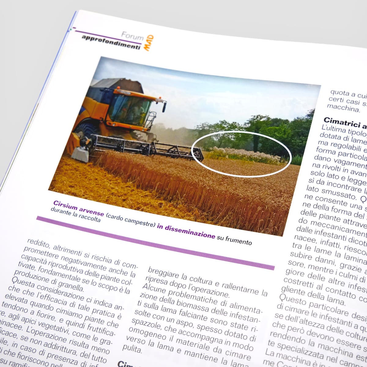 MAD Macchine Agricole Domani abbonamento digitale annuale 12 numeri