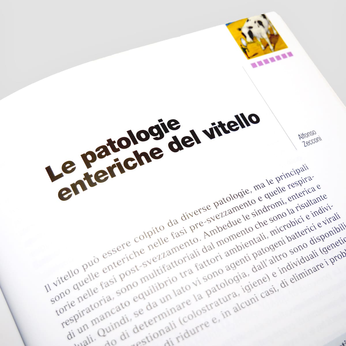 Mad Allevamenti Bovine da latte libro malattie produzione