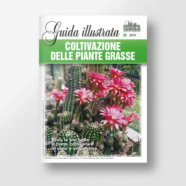 Mad Guide Illustrate Coltivazione piante grasse guida succulente