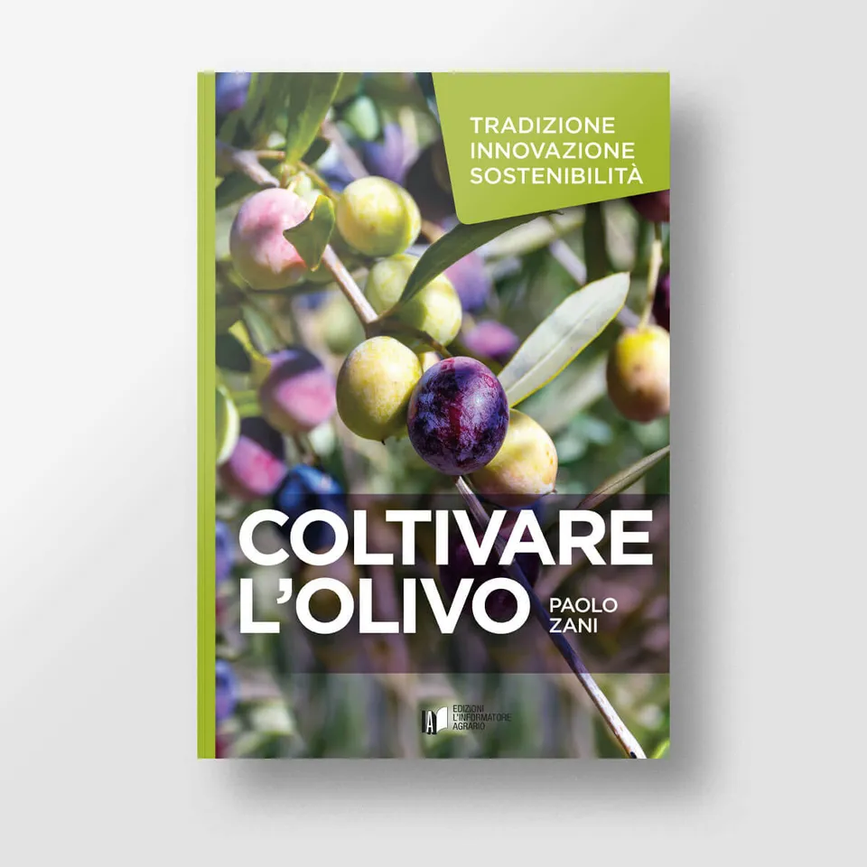 MAD Frutticoltura Coltivare l’olivo libro numero singolo potatura