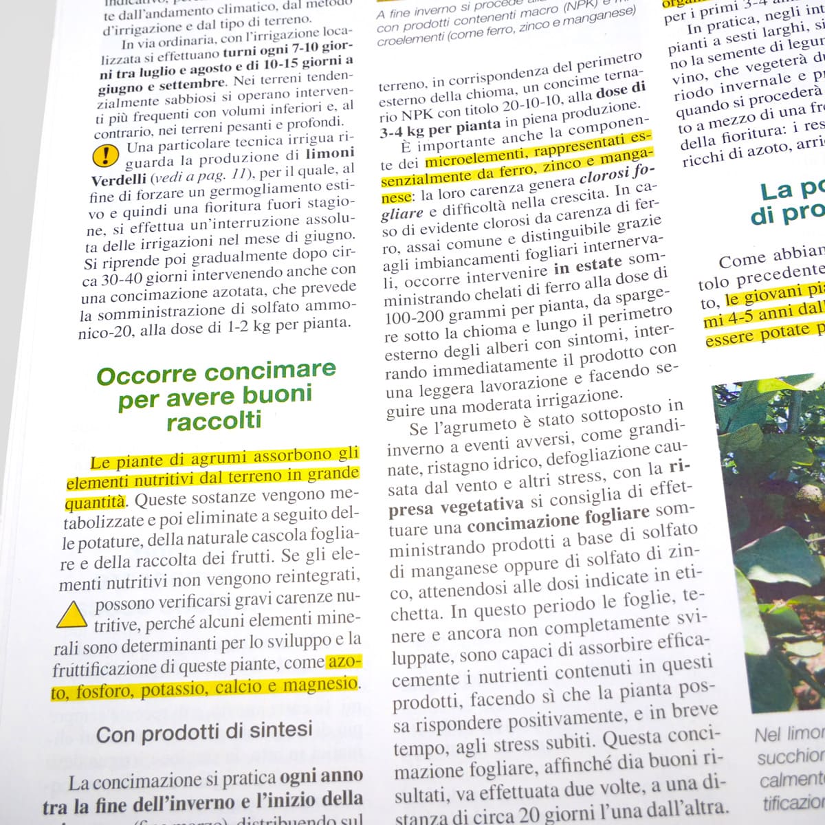 MAD Guide Illustrate Come coltivare piccolo agrumeto guida