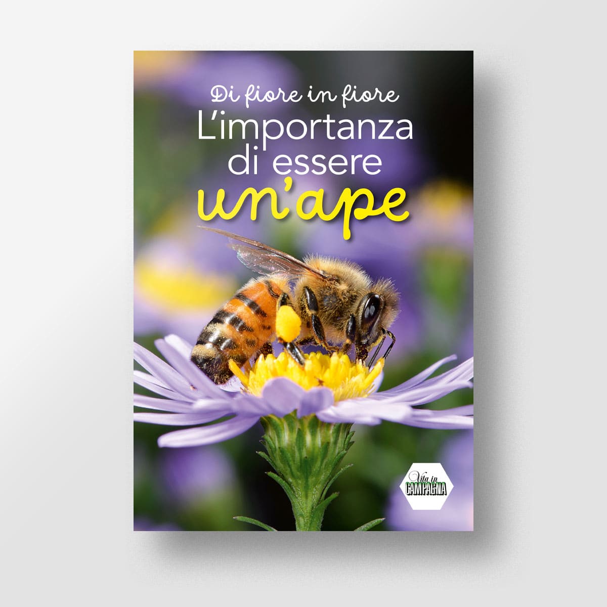 MAD Allevamenti L'importanza di essere un'ape libro ragazzi 11 anni