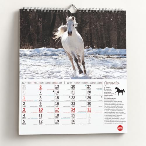 Sprea Cavalli Magnum 2027 calendario da parete 12 mesi