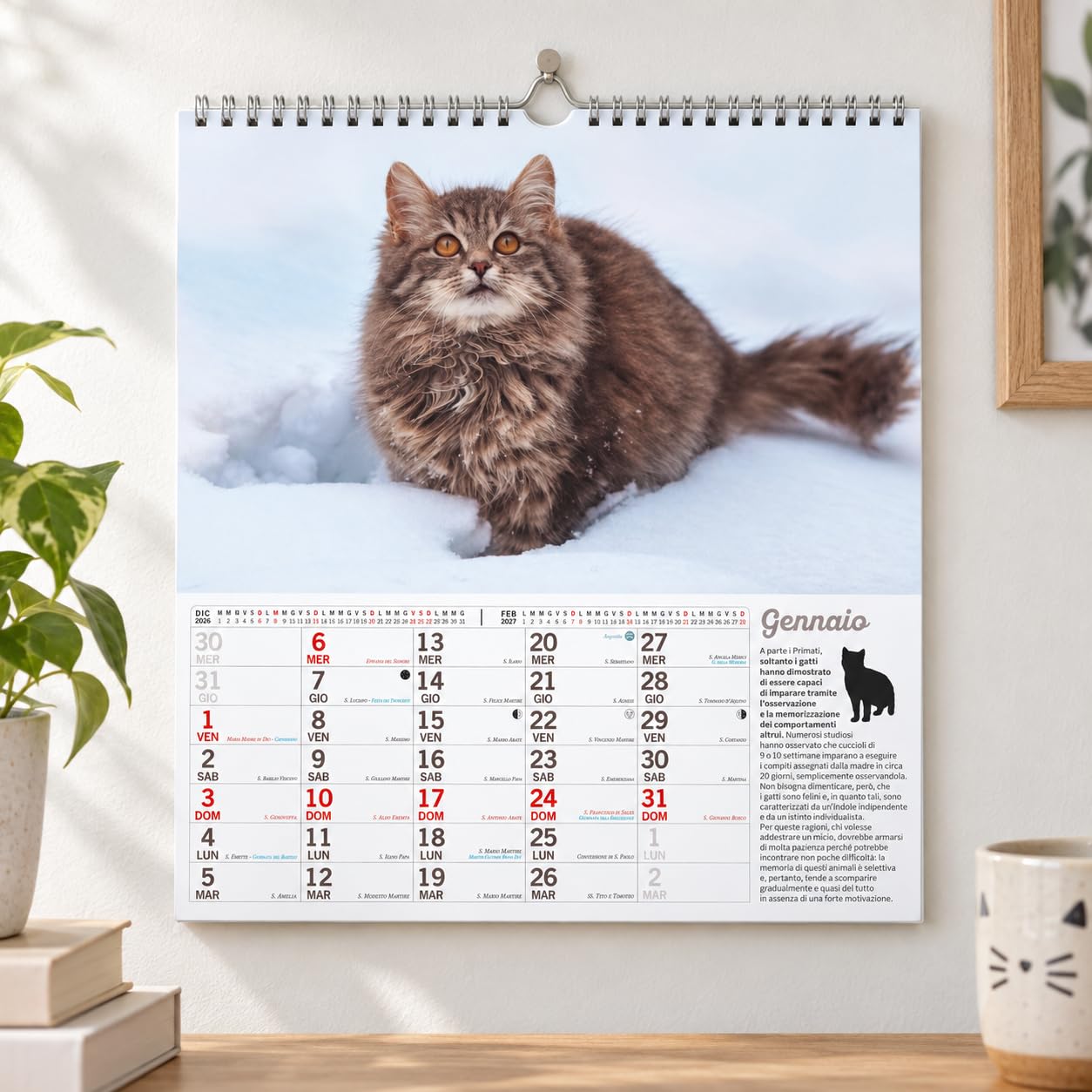 Sprea Calendario Gatti Magnum 2027 calendario parete gatti