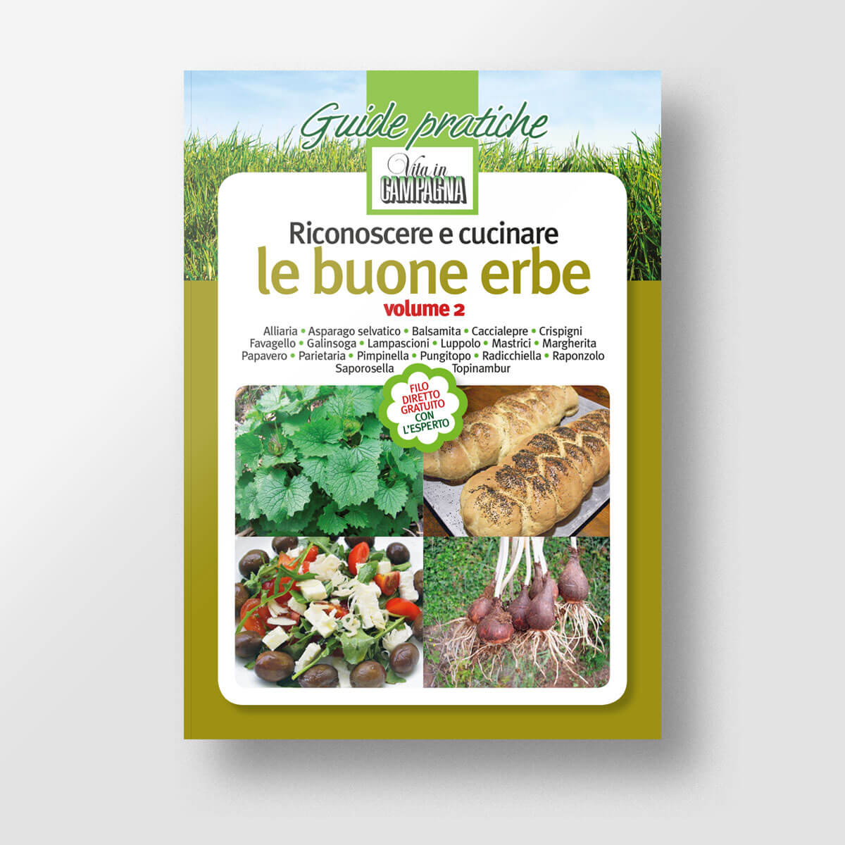 MAD Cucina Riconoscere e cucinare le buone erbe Volume 2 libro