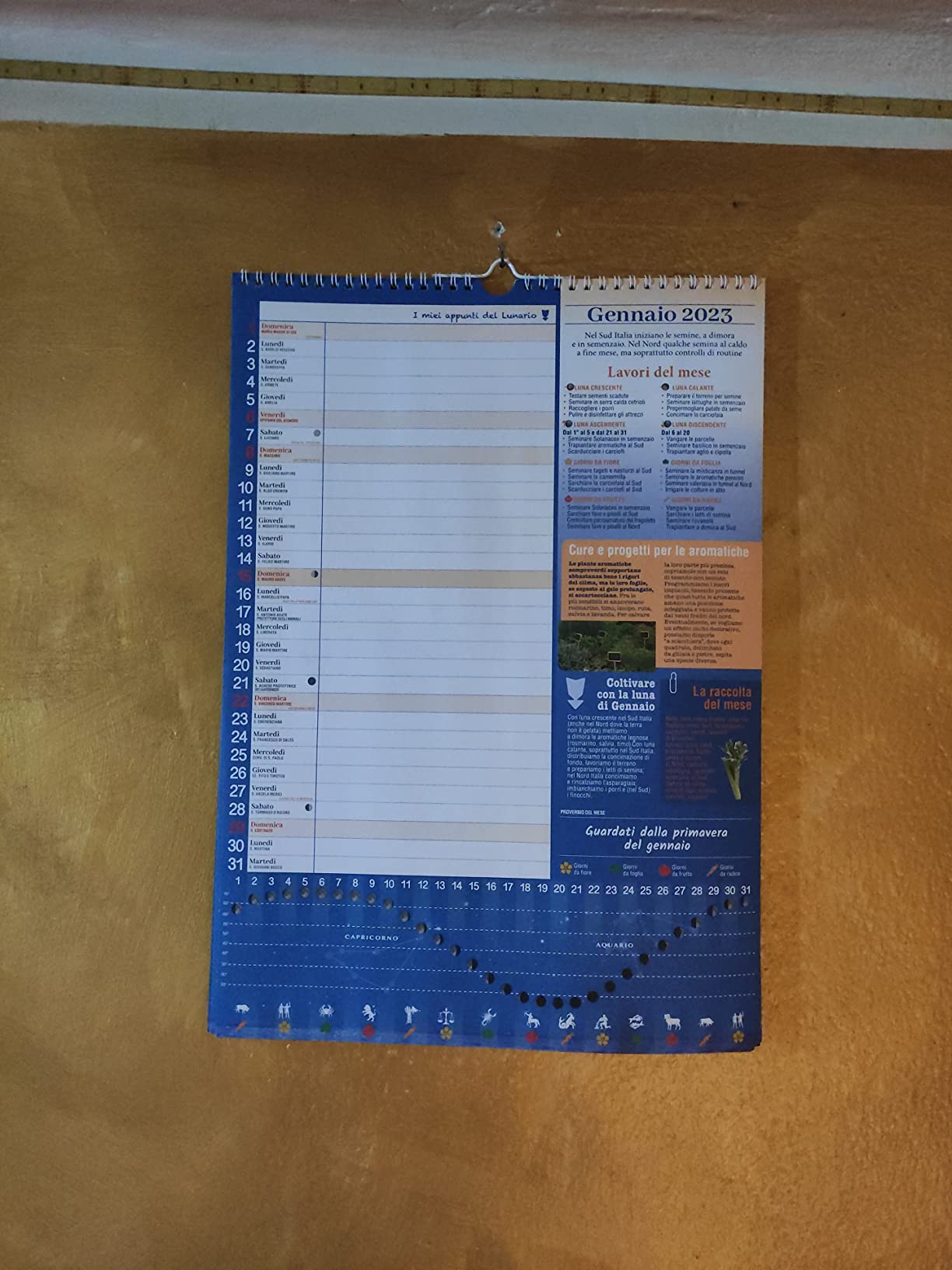 Sprea Lunario 2027 calendario-agenda da parete orto 30x42,5 cm