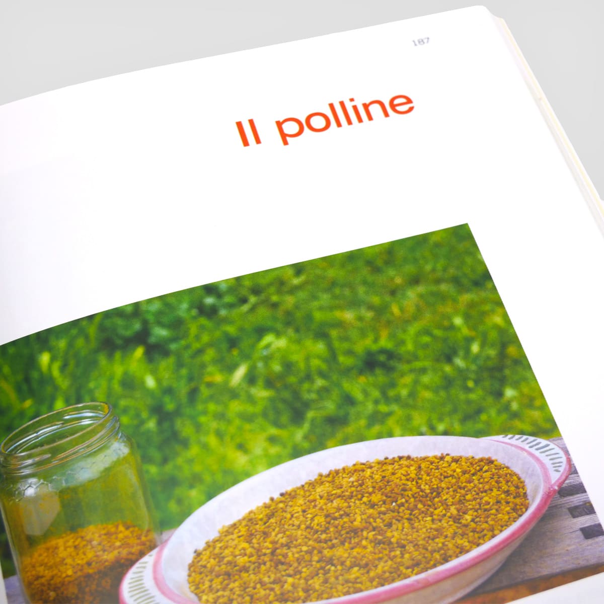 MAD Allevamenti Apicoltura tecnica e pratica libro numero singolo