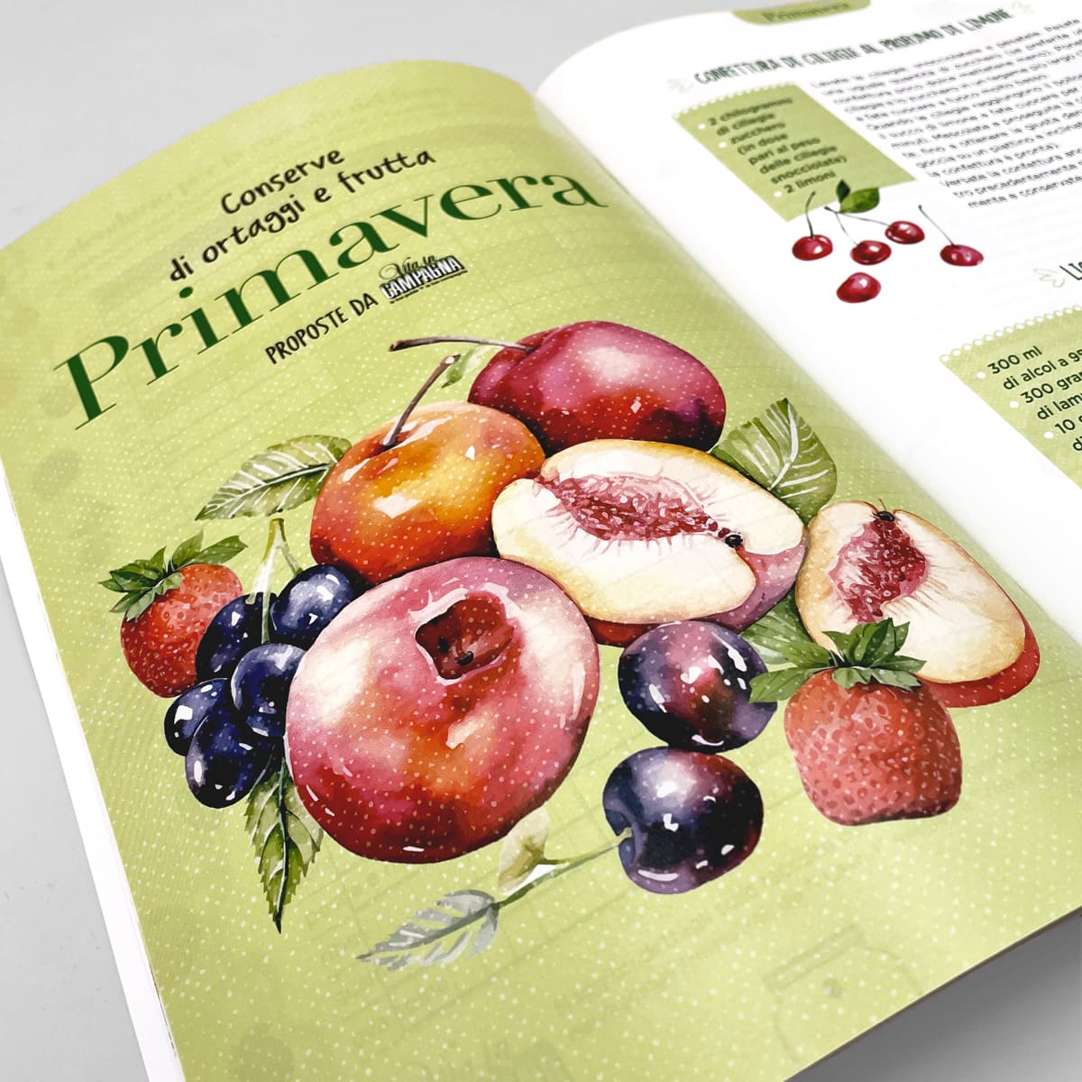MAD Cucina Le mie conserve Ortaggi e frutta libro 96 etichette