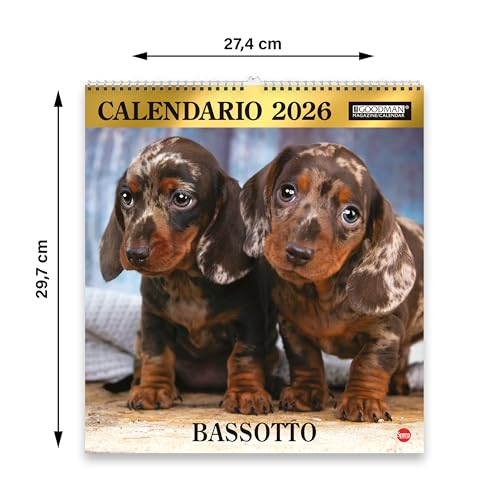 Sprea Bassotti Magnum 2026 calendario da parete consigli