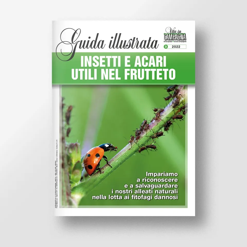 Mad Difesa Insetti e acari utili libro frutteto bio