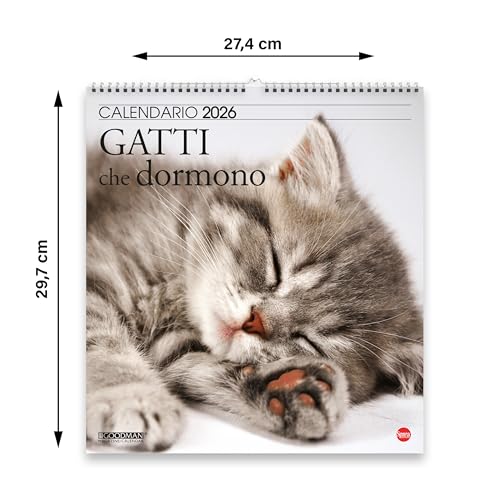 Sprea Gatti che Dormono Magnum 2026 calendario parete