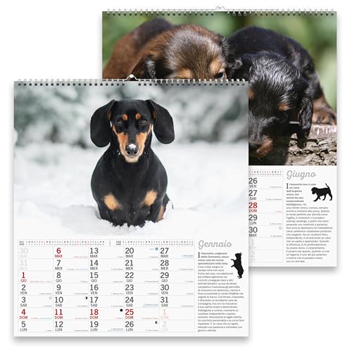 Sprea Bassotti Magnum 2026 calendario da parete consigli