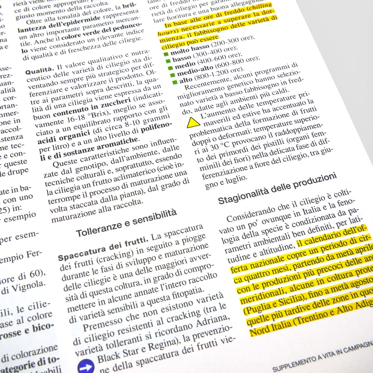 Mad Guide Illustrate Come coltivare il ciliegio dolce guida