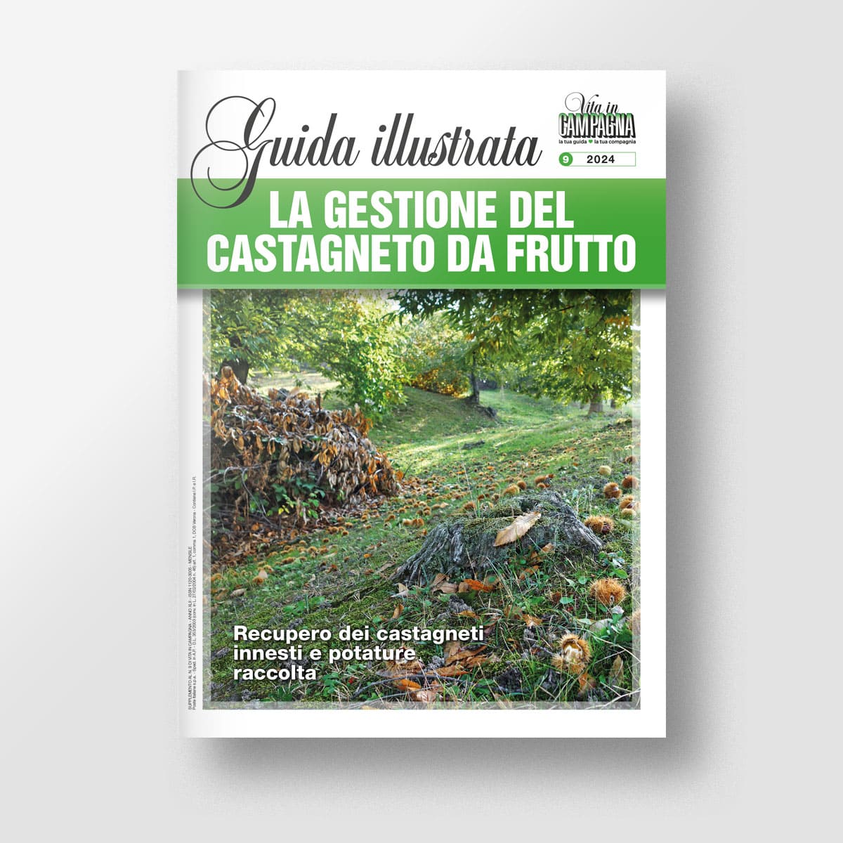 MAD Frutticoltura La gestione del castagneto da frutto libro numero singolo